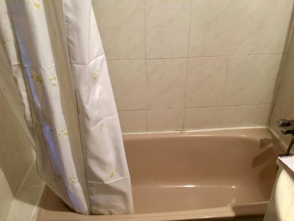 Sustitucion de bañera por plato de ducha